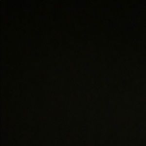 Meet your Posher, Shelia